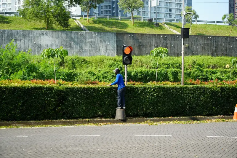 住宅小区绿化养护标准化流程及质量管控要点分析正文配图 1