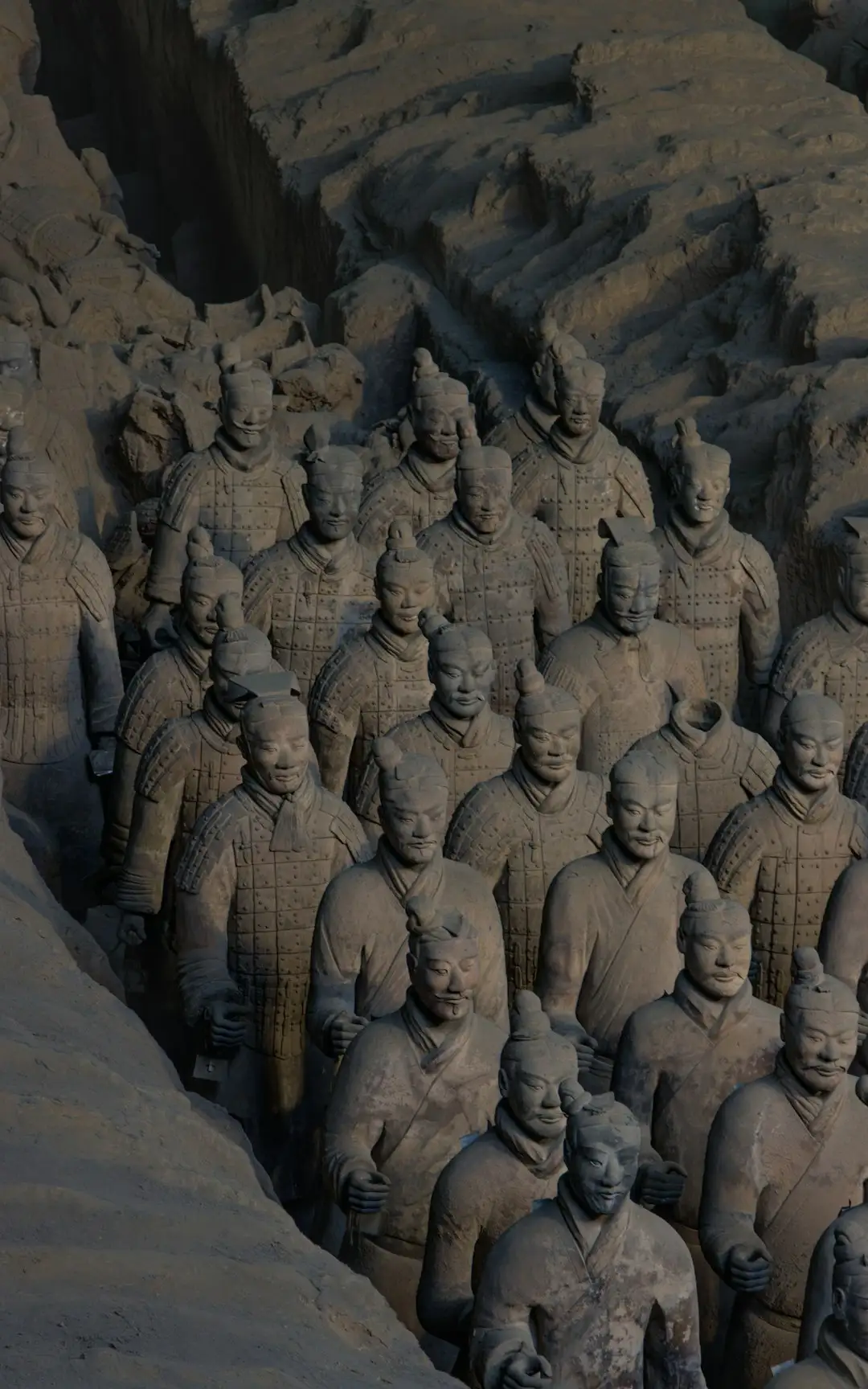 上海纳环新物业管理服务有限公司：住宅小区绿化养护与保洁服务标准流程解析